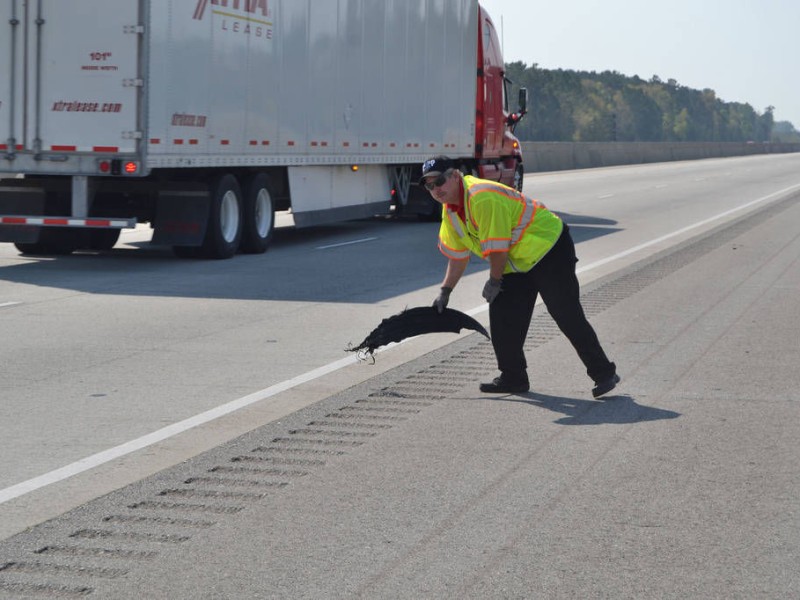 CHAMP motorist assistance patrolling I-75 in South Georgia – Albany Herald