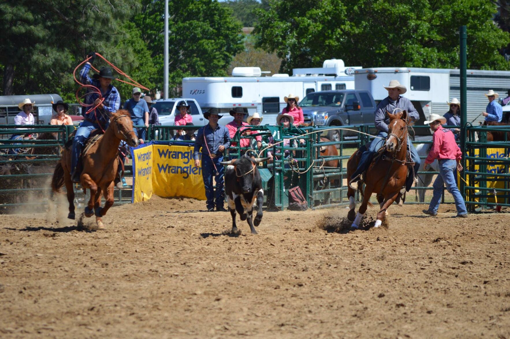 Gee Haw Whoa Back Rodeo set for April 5-6 – Albany Herald