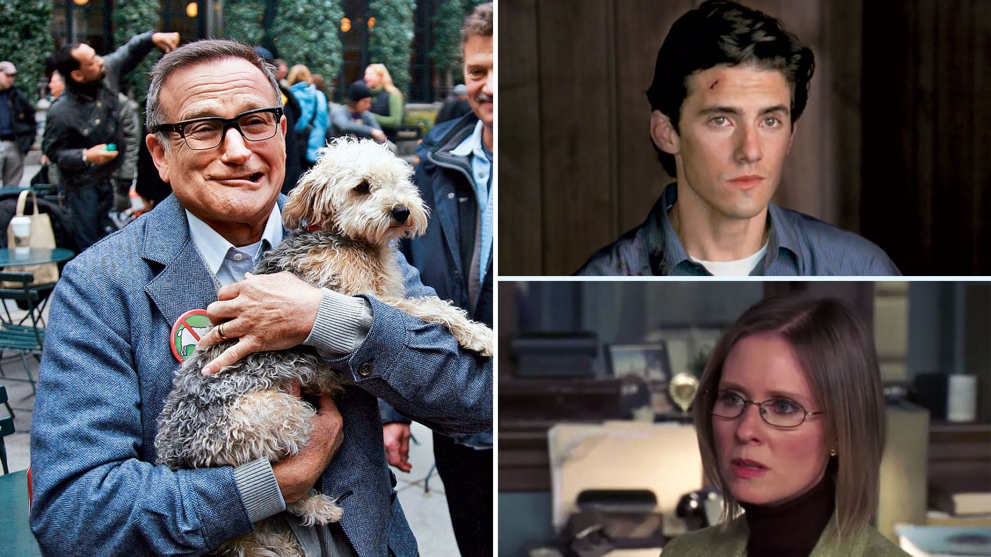 Our 31 Favorite Celebrity 'SVU' Guest Stars