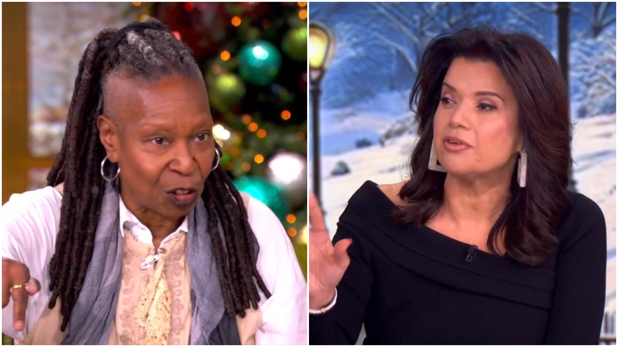 'The View': Whoopi Goldberg and Ana Navarro Shout Over Trump News
