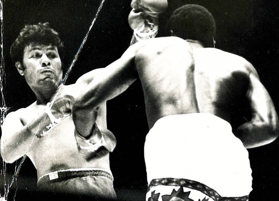 Kenney Field Boxer