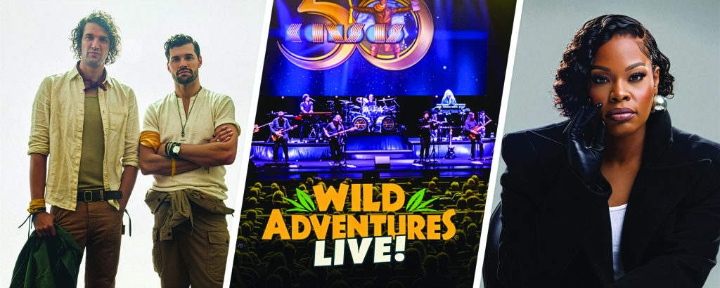 https://www.wildadventures.com/explore-the-park/concerts/