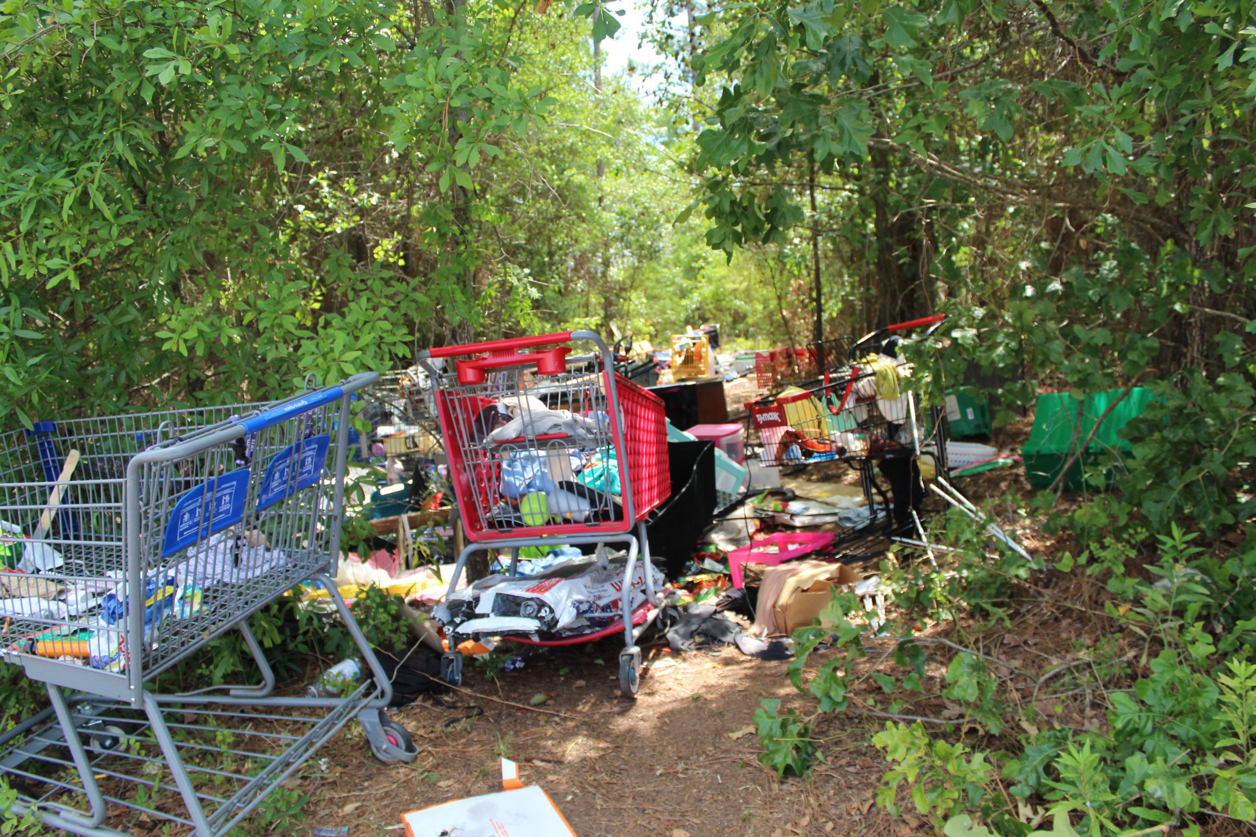 Trash piled up on busy street part of suspected unhoused enclave – Albany Herald