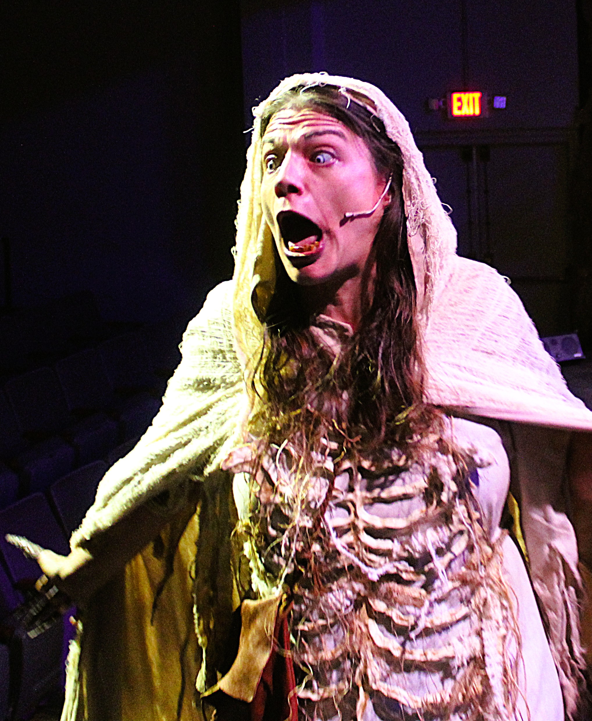 Theatre Albany's 'Into the Woods' ... what happens after happily ever after?