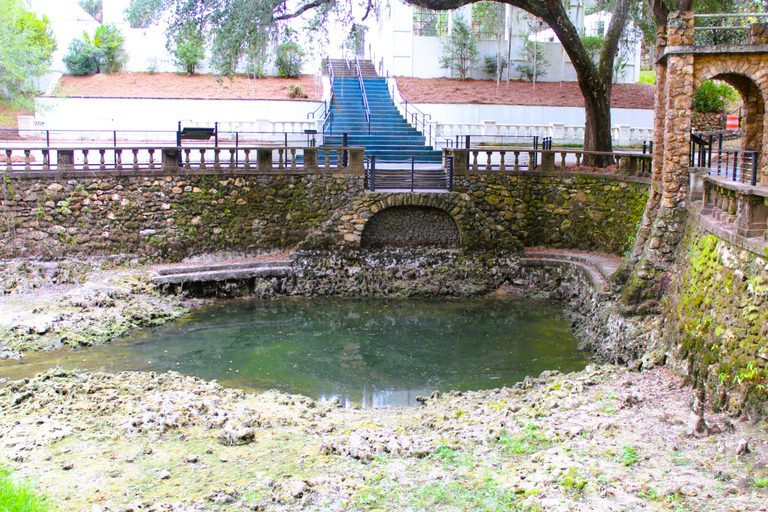 Spring Water Running Weather conditions, water usage lead to dried-up Radium Springs ...